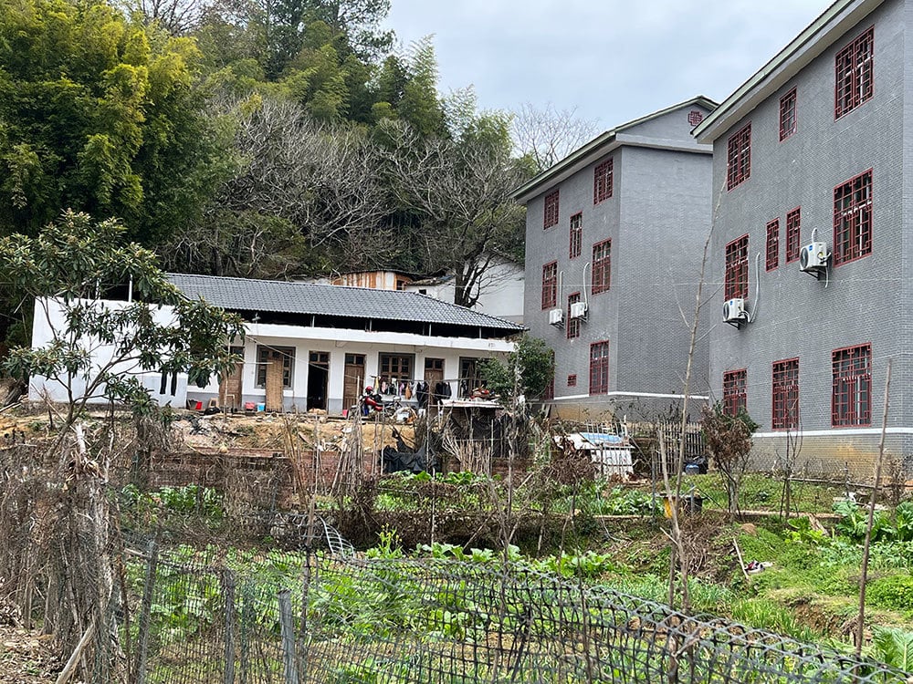 为何农村小片砖瓦全部换成了树脂瓦？