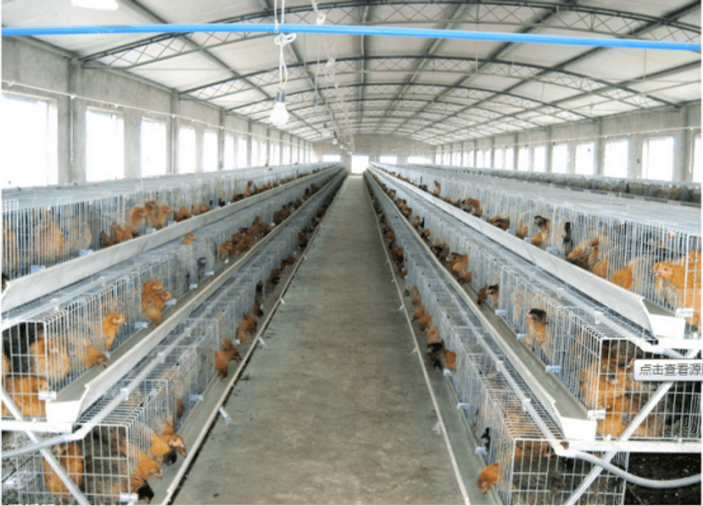 养殖场用什么瓦会比较好