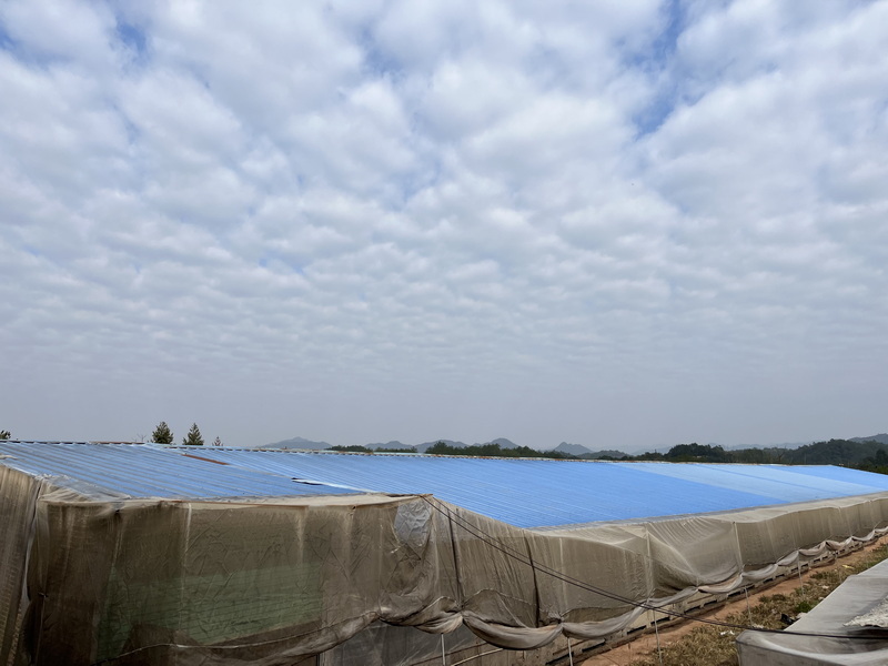 PVC防腐瓦与ASA超耐候防腐复合瓦有何不同之处？