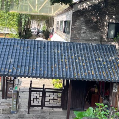 农村屋面使用树脂瓦有多好看?村民看了都赞不绝口!