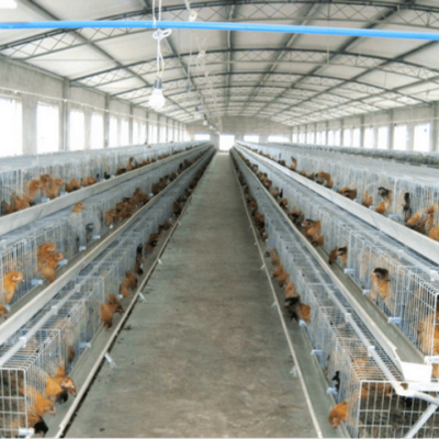 养殖场用什么瓦会比较好