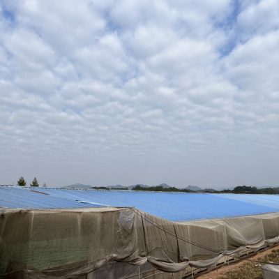 PVC防腐瓦与ASA超耐候防腐复合瓦有何不同之处?