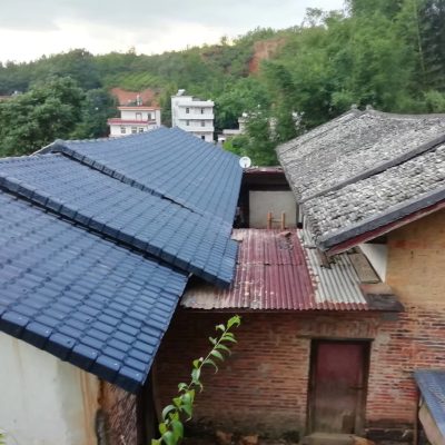 别再纠结彩钢瓦还是树脂瓦了！2026年避坑指南+十大品牌榜单